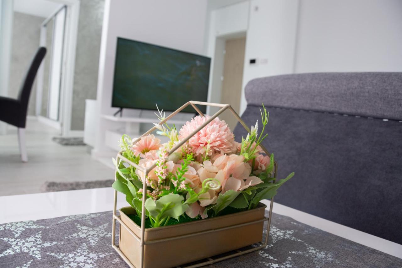 Gala Residence In Орадеа Екстериор снимка